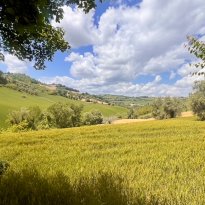 Monte Giberto Le Marche