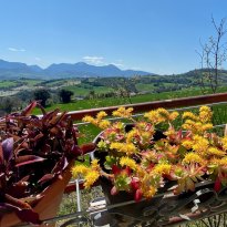 Monterolo Le Marche
