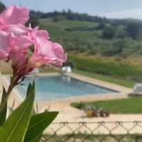 Talacchio, Vallefoglia Le Marche