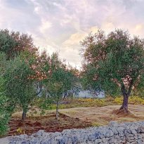 Ostuni Puglia