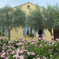 Senigallia Le Marche
