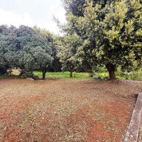 Ostuni Puglia