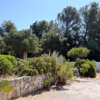 Ceglie Messapica Puglia