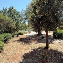Ceglie Messapica Puglia