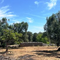 Ceglie Messapica Puglia
