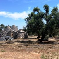 Ceglie Messapica Puglia