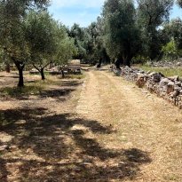 Ceglie Messapica Puglia