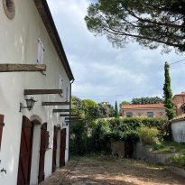 Novilara, Pesaro Le Marche