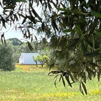 Ceglie Messapica  Puglia