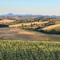 San Giorgio di Pesaro, Terre Roveresche Le Marche