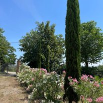 San Giorgio di Pesaro, Terre Roveresche Le Marche